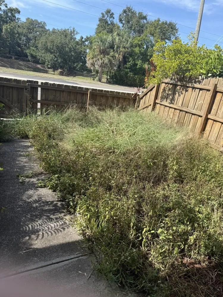 Professional residential landscaping near you in Seffner, FL by Grounded Touch