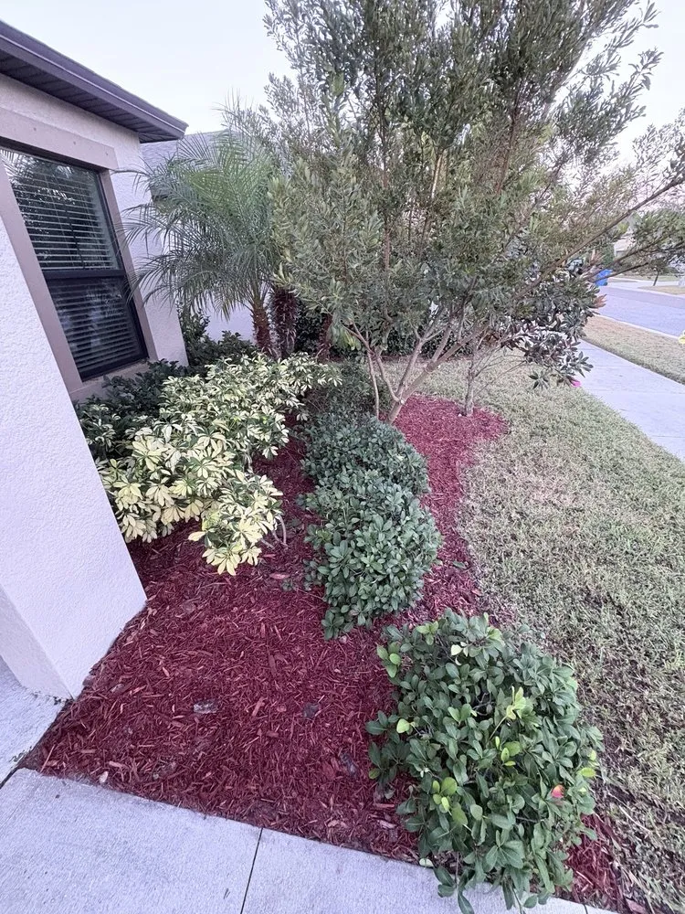 Trusted yard maintenance experts serving Seffner, FL - Grounded Touch