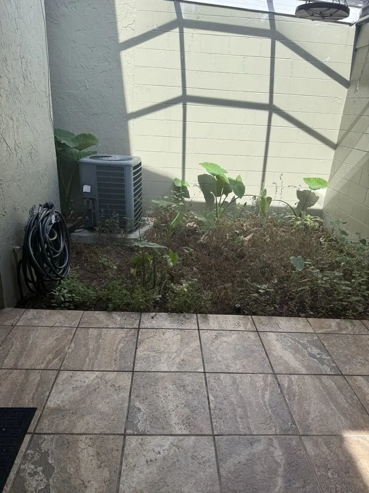 Professional landscaping services for residential properties across Seffner, FL - Grounded Touch