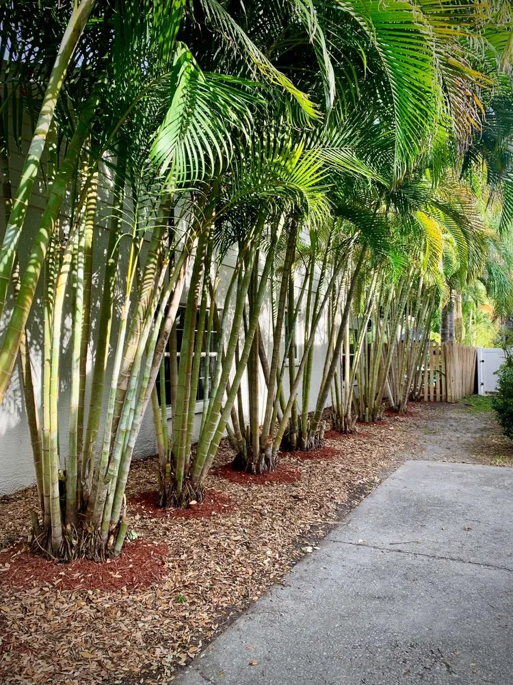 Local outdoor landscaping in Seffner, FL - Grounded Touch
