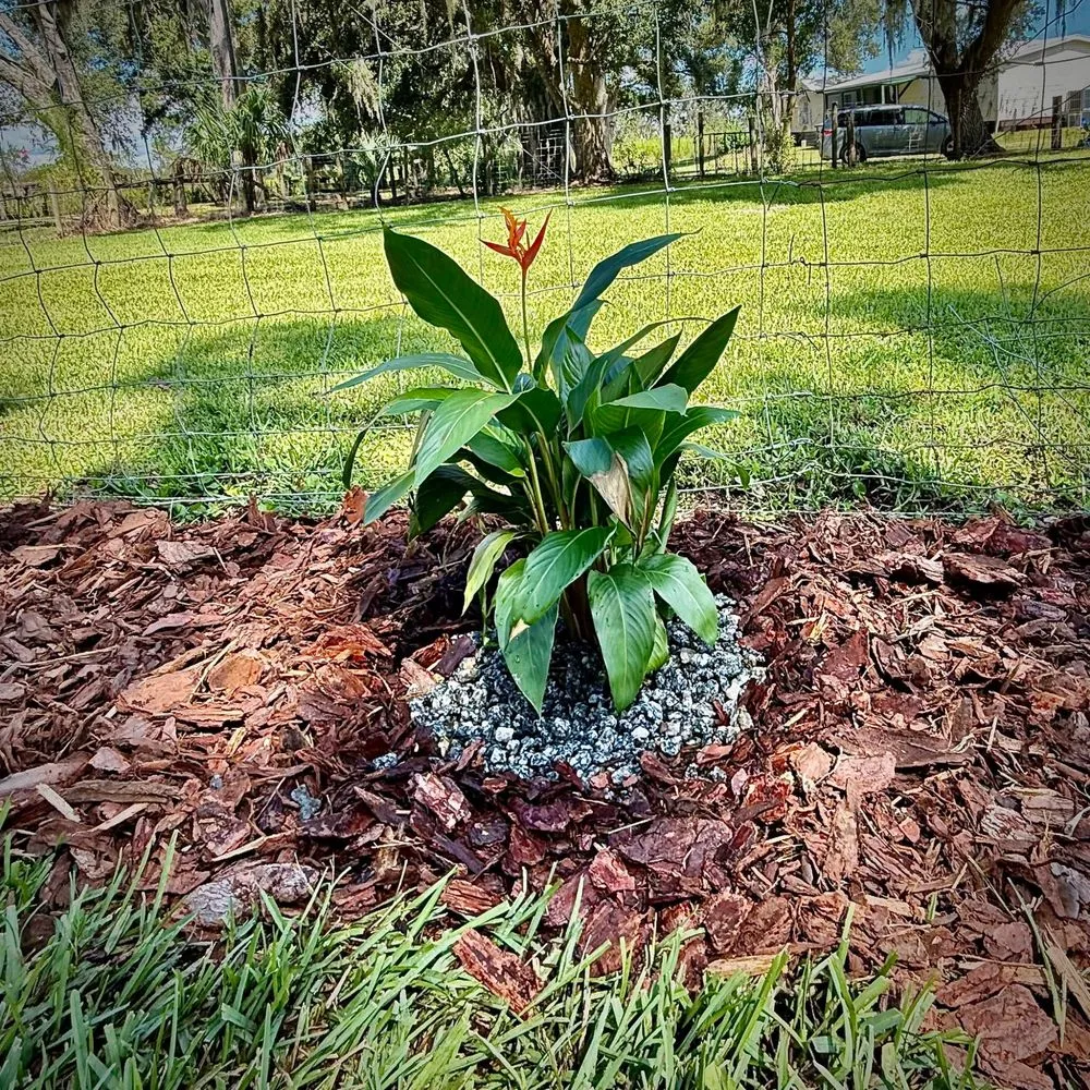 Top-rated yard maintenance for residential properties in Seffner, FL by Grounded Touch