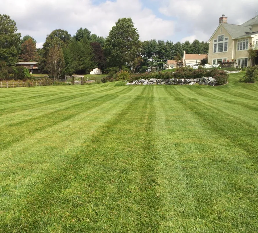 Affordable yard cleanup service in Apalachin, NY - GroundFX Landscaping