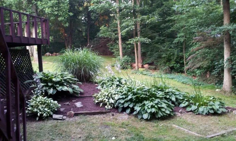 Trusted landscaping services for year-round maintenance across Apalachin, NY - GroundFX Landscaping