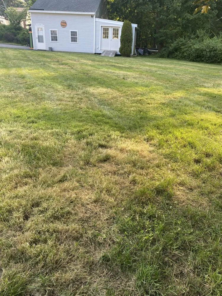 Affordable landscape design for homes across Derry, NH - Groundhog Landscaping