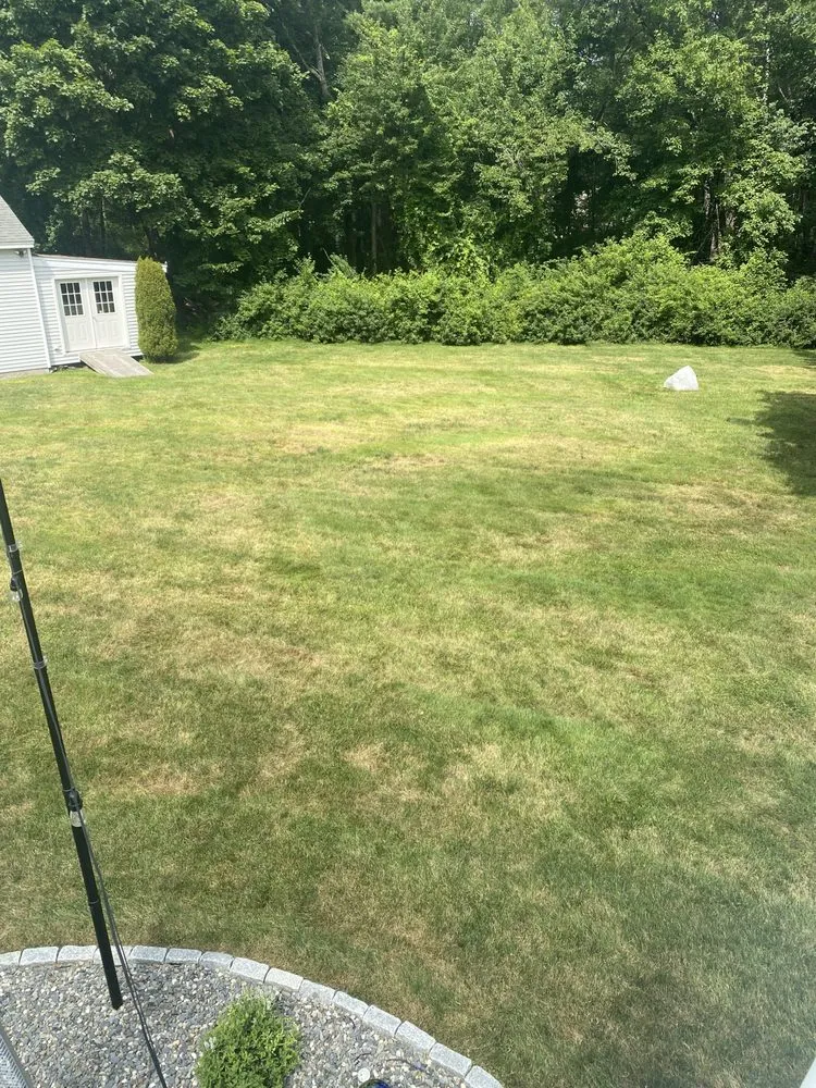 Expert lawn care service for beautiful yards across Derry, NH - Groundhog Landscaping