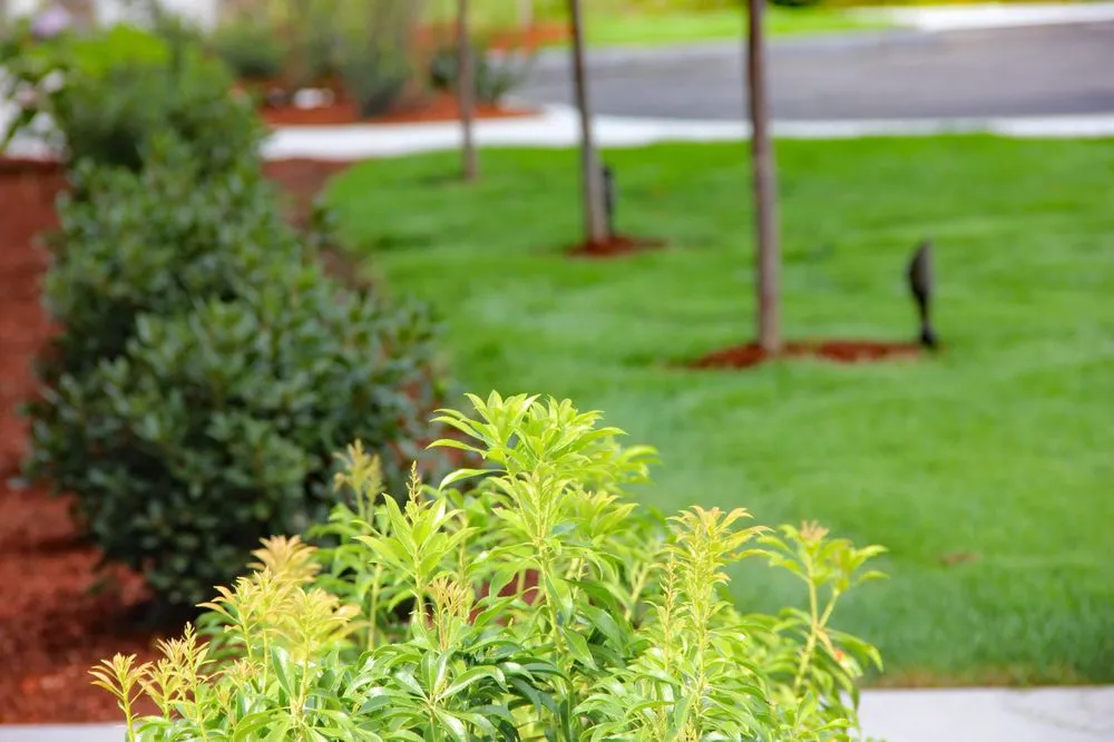 Affordable yard cleanup service experts serving Derry, NH - Groundhog Landscaping