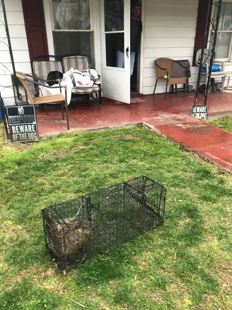 Professional landscaping services in Bristol, VA by Groundhogs Wildlife control