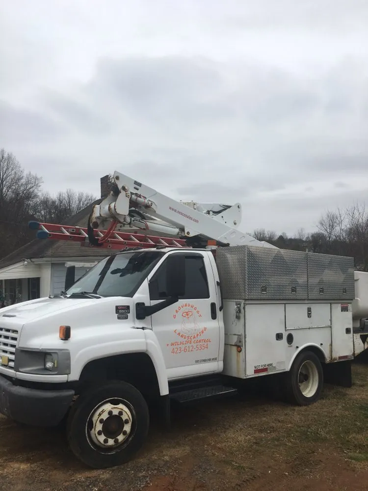 Trusted residential landscaping for homes in Bristol, VA by Groundhogs Wildlife control