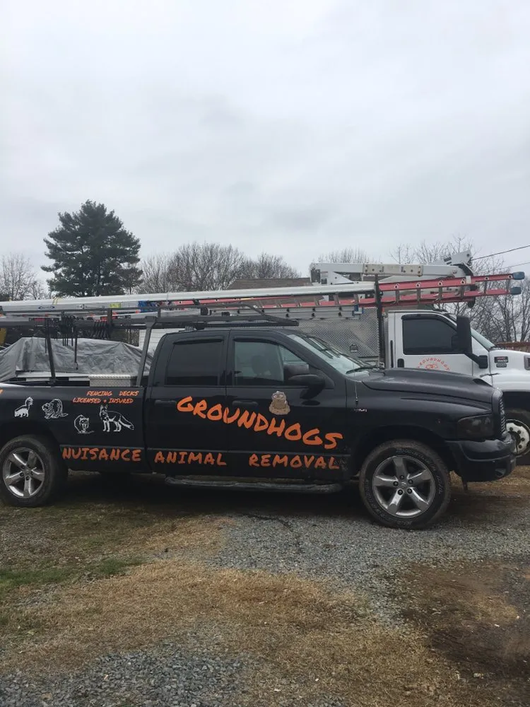 Custom garden landscaping experts serving Bristol, VA - Groundhogs Wildlife control