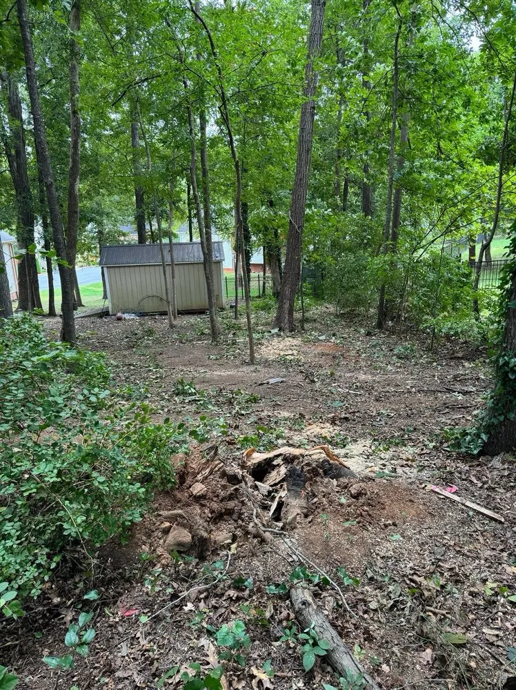 Top-rated residential landscaping in Concord, NC by Groundmaster Landscape & Tree Care