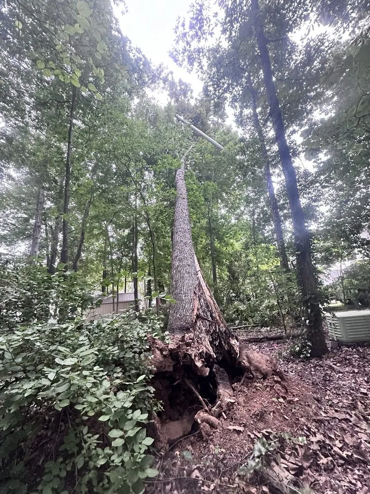 Professional landscape design in Concord, NC - Groundmaster Landscape & Tree Care