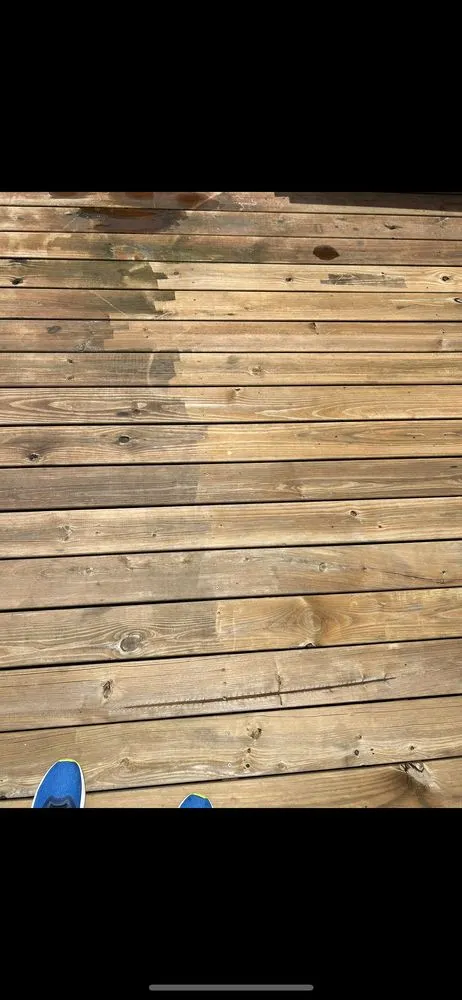 Expert yard cleanup service experts serving Walterboro, SC - Grounds & Exterior Management