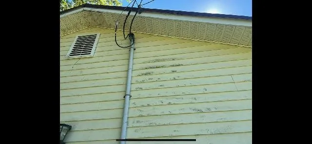 Custom residential landscaping for homes across Walterboro, SC - Grounds & Exterior Management