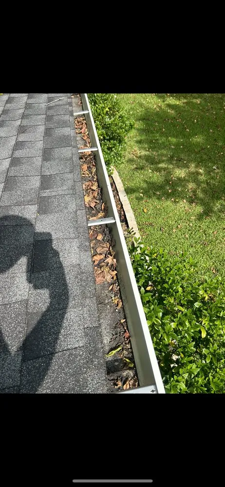 Expert yard cleanup service with custom design in Walterboro, SC by Grounds & Exterior Management