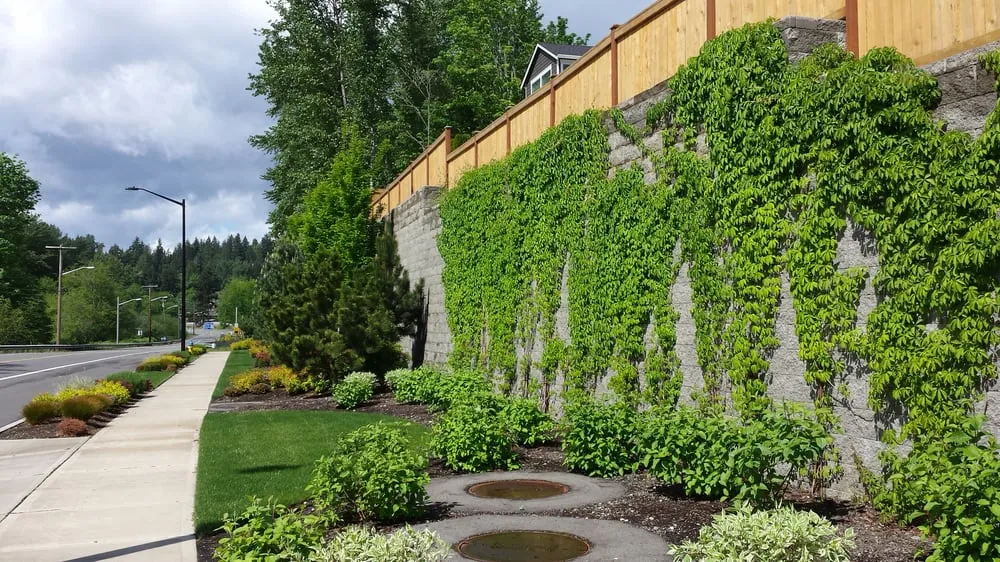 Custom outdoor landscaping near you in Camano Island, WA by Grounds & Gardens