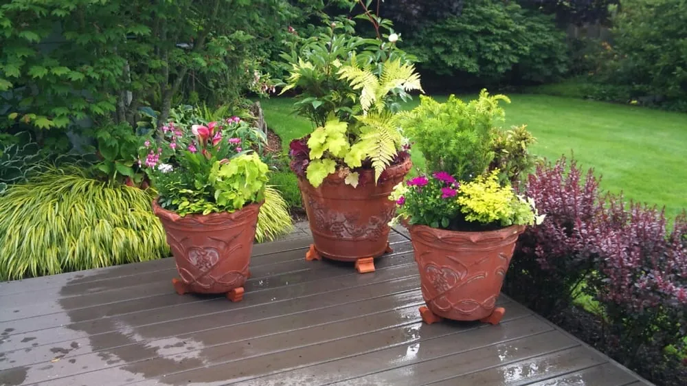 Local landscape installation for outdoor upgrades in Camano Island, WA by Grounds & Gardens