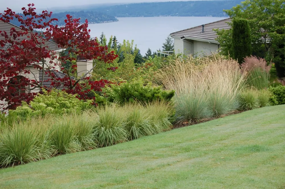 Affordable outdoor landscaping in Camano Island, WA by Grounds & Gardens