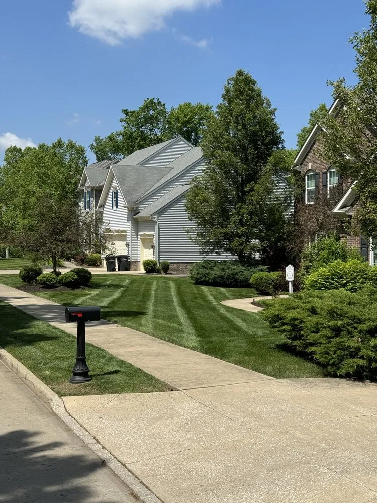 Affordable yard cleanup service for beautiful yards across Brooklyn, OH - Grounds by Coffey East