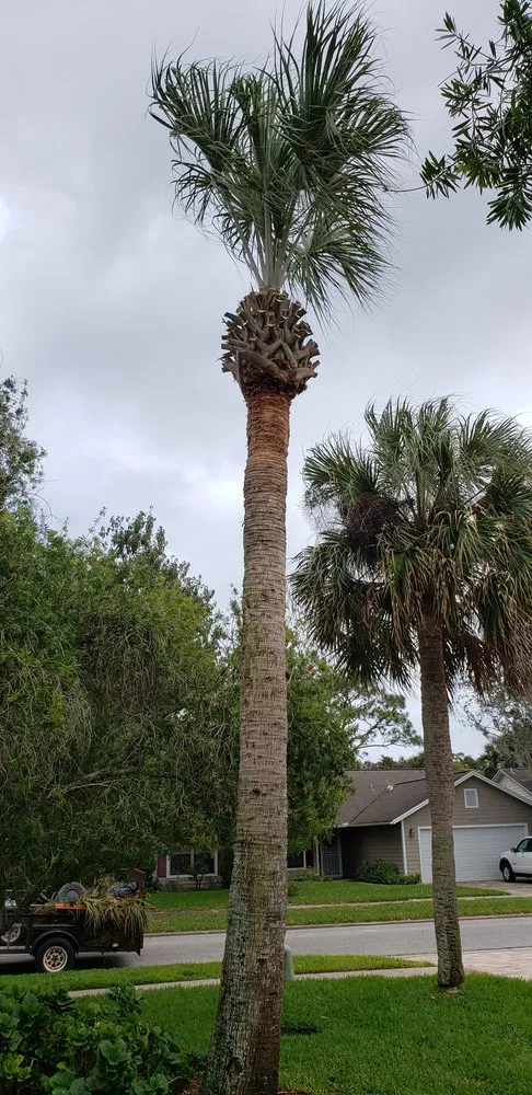 Trusted yard cleanup service in Daytona Beach, FL by Grounds By Rounds