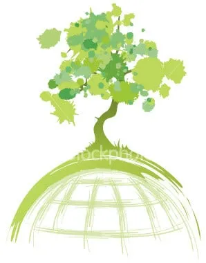 Reliable yard cleanup service for homes across Chicago, IL - Grounds for Growth Landscapes