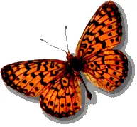 Grounds for Growth Landscapes Logo