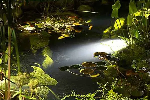 Local landscape installation for year-round maintenance in Matawan, NJ by Grounds Keeper