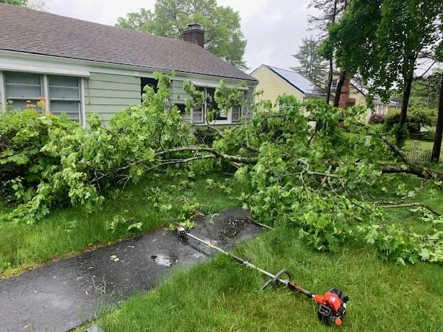 Affordable landscape design in Bloomfield, CT - Grounds Keepers