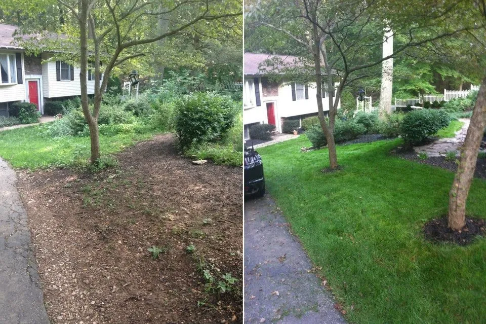 Reliable landscape design in Frederick, MD by Grounds Keeping Solutions