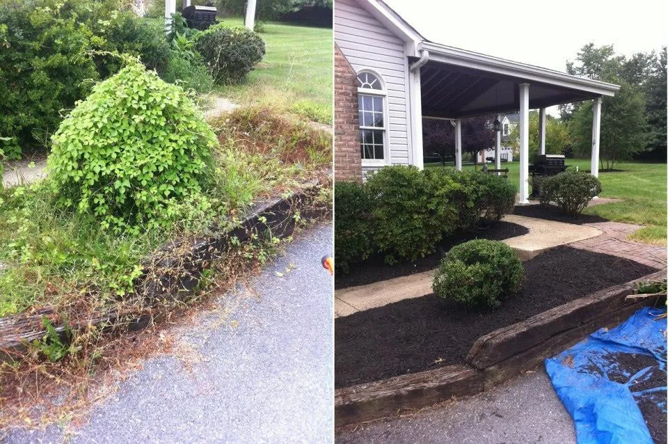 Top-rated landscape installation for beautiful yards in Frederick, MD by Grounds Keeping Solutions