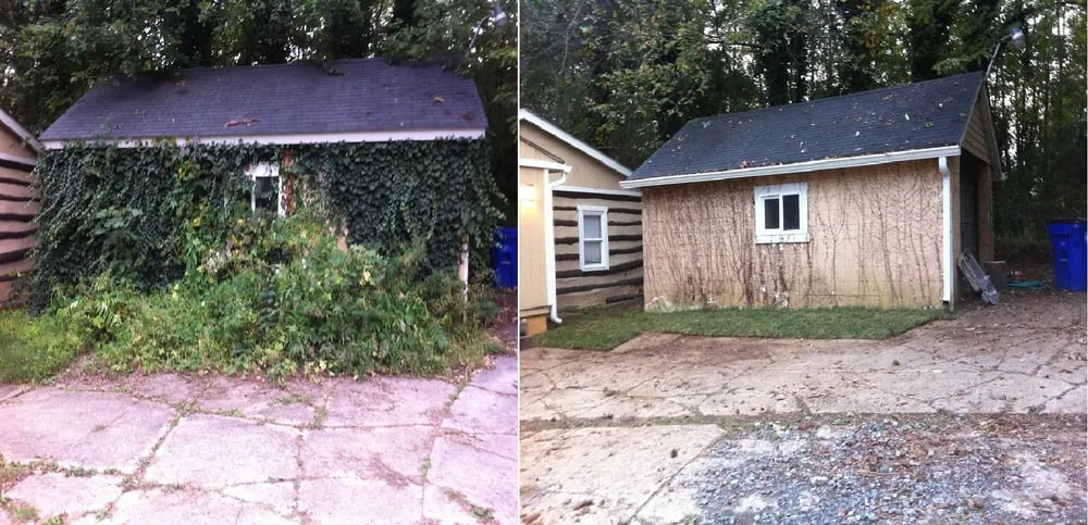 Professional yard maintenance for beautiful yards in Frederick, MD by Grounds Keeping Solutions