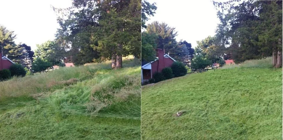 Expert yard cleanup service in Frederick, MD - Grounds Keeping Solutions