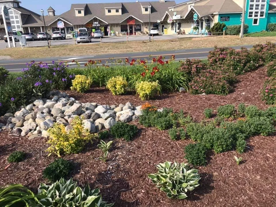 Trusted landscape installation for residential properties across Jarvisburg, NC - Grounds Pros