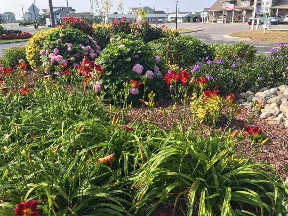 Expert garden landscaping experts serving Jarvisburg, NC - Grounds Pros