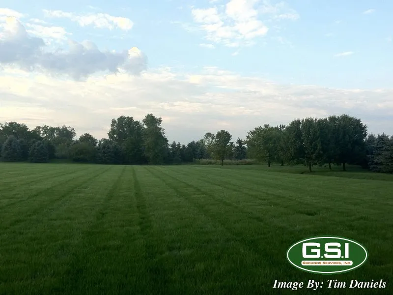 Custom lawn mowing service in Waterville, OH by Grounds Services