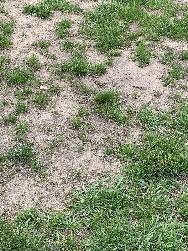 Top-rated yard maintenance in Waterville, OH - Grounds Services