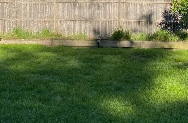 Expert lawn care service in Waterville, OH by Grounds Services