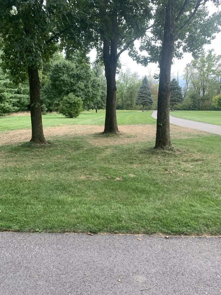 Professional residential landscaping experts serving Waterville, OH - Grounds Services