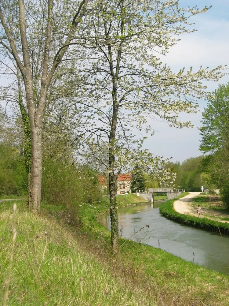 Top-rated lawn mowing service for homes in Trussville, AL by Grounds Unlimited