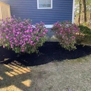 Affordable yard maintenance in Tewksbury, MA by Grounds Up Landscape & Design