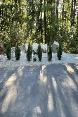 Grounds Up Landscape & Design Logo