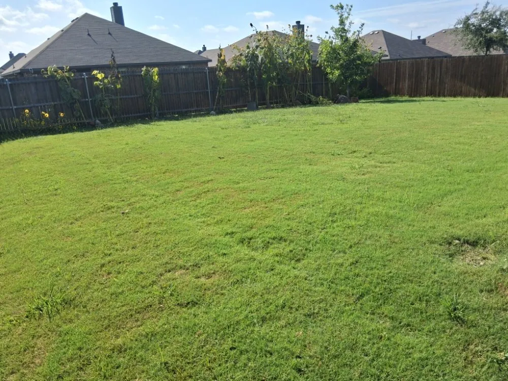 Reliable lawn care service in Fort Worth, TX - Grounds Up Landscape