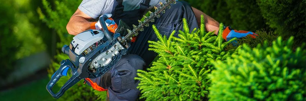 Top-rated yard cleanup service for outdoor upgrades across Martinez, GA - Grounds Up Residential and Commercial Maintenance