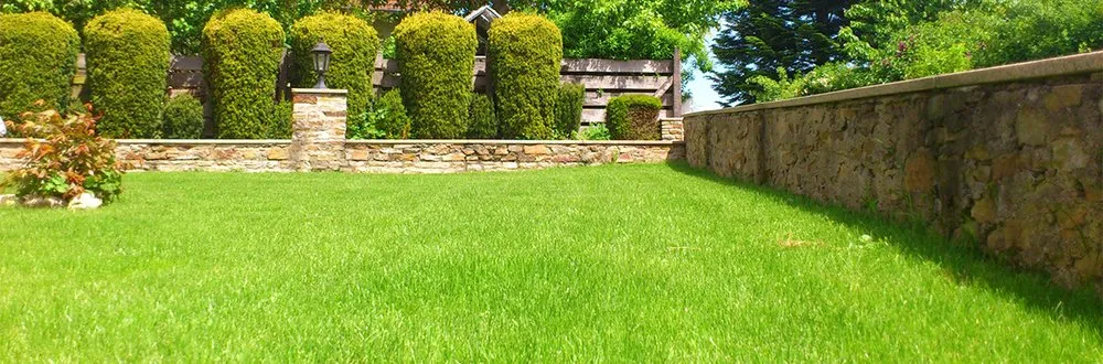 Reliable landscaping services near you in Martinez, GA by Grounds Up Residential and Commercial Maintenance