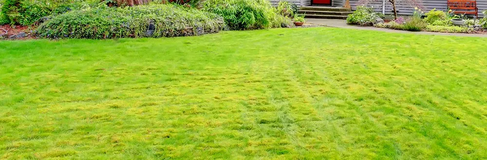 Custom residential landscaping in Martinez, GA - Grounds Up Residential and Commercial Maintenance