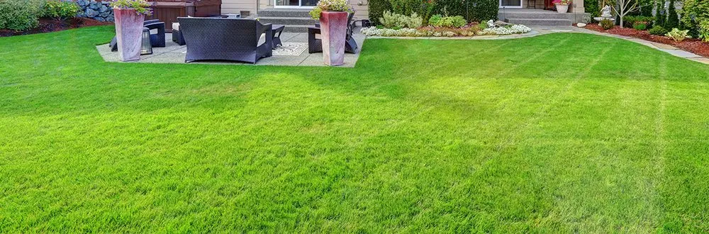 Affordable landscape design in Martinez, GA - Grounds Up Residential and Commercial Maintenance