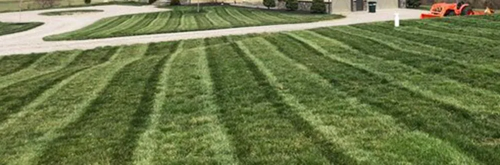 Reliable residential landscaping in Martinez, GA - Grounds Up Residential and Commercial Maintenance