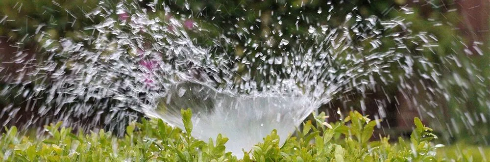 Local yard maintenance for beautiful yards across Martinez, GA - Grounds Up Residential and Commercial Maintenance