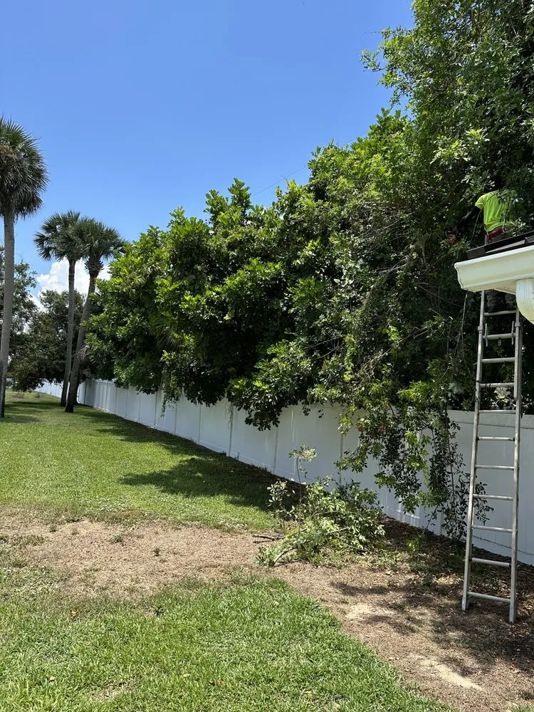 Top-rated landscaping services in Vero Beach, FL by Grounds