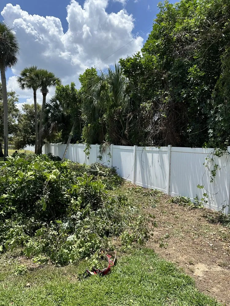 Expert yard maintenance in Vero Beach, FL - Grounds