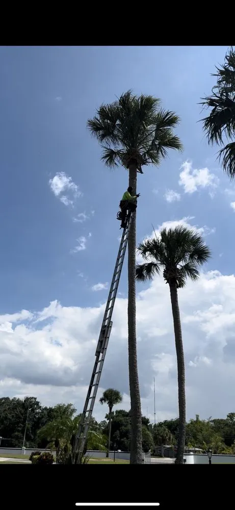 Professional outdoor landscaping experts serving Vero Beach, FL - Grounds